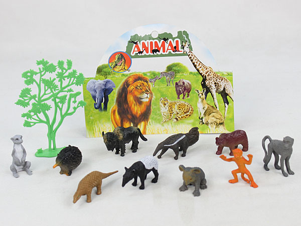 animals