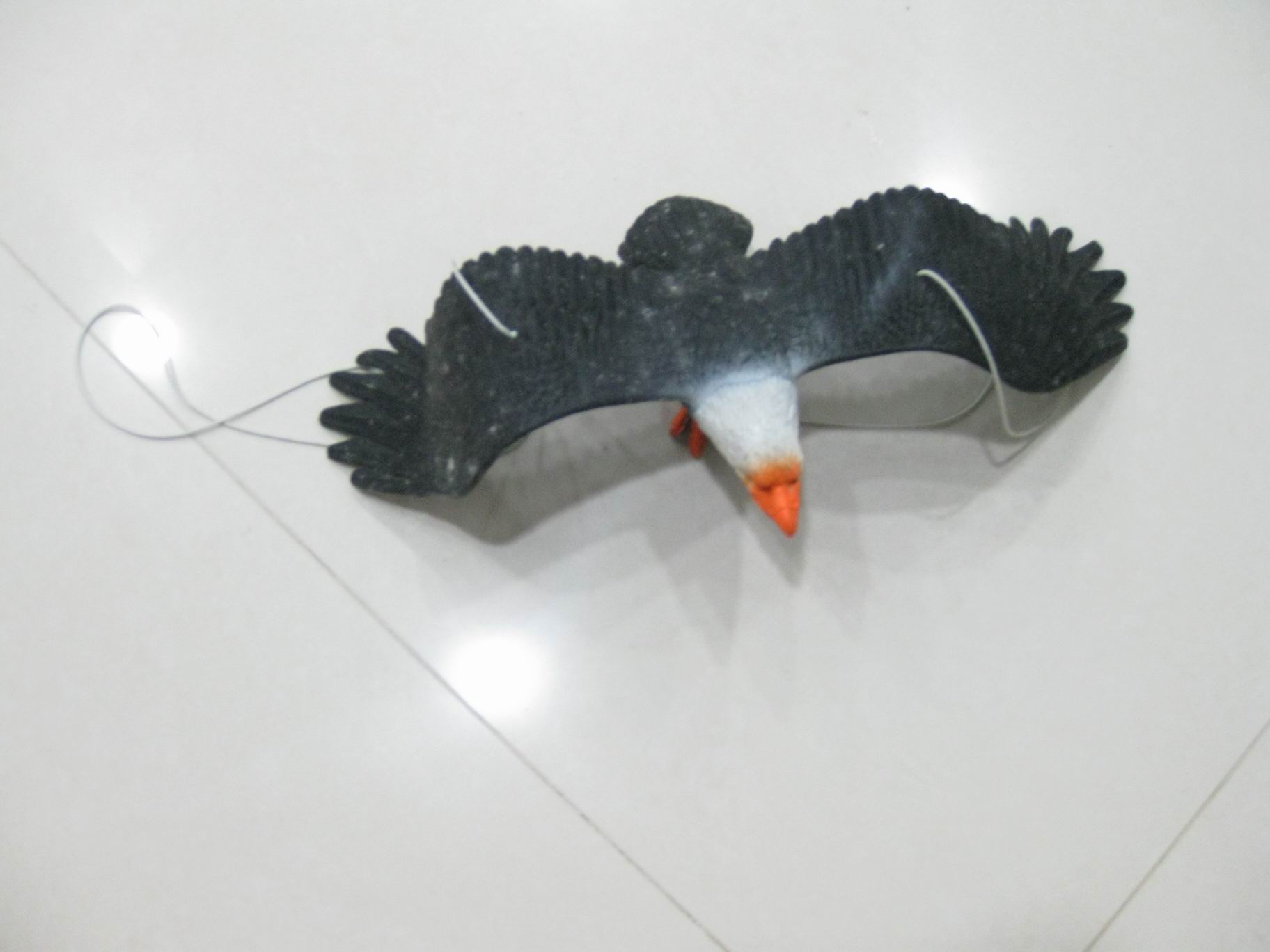 eagle