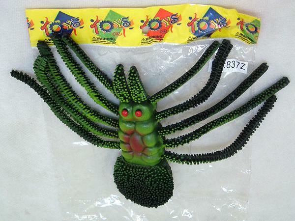 spider