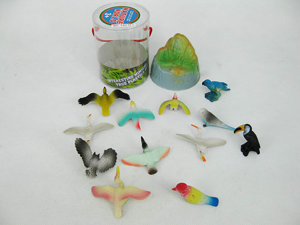 bird